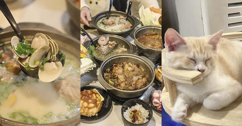 新竹振興路八柴鍋物，港式雞煲一鍋兩吃，四隻店貓陪吃療癒宵夜推薦。