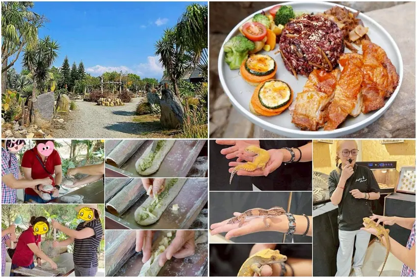 「卓蘭自然圈農場」一日套票攻略！手作烘焙、生態體驗、療癒午餐，玩出最美打卡角落。
