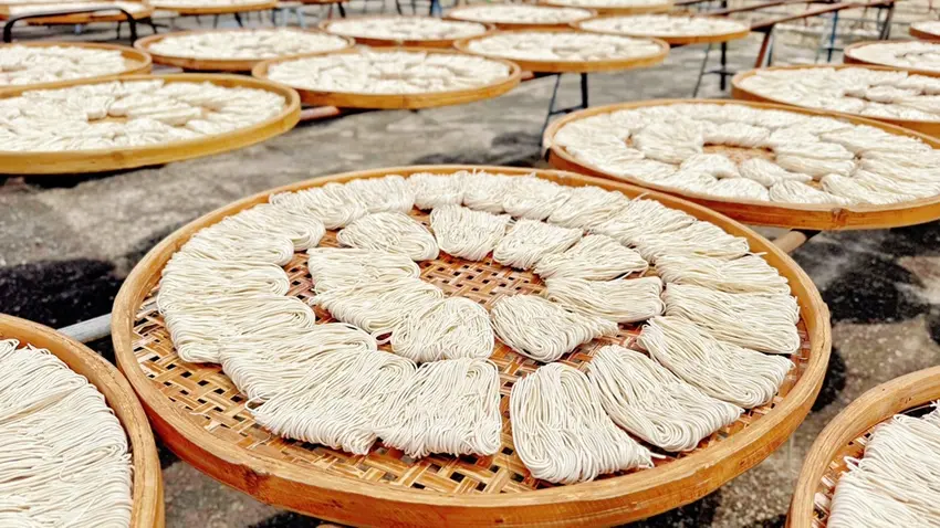 台南關廟在地美食指南！必吃林門玉餃與溫體牛肉湯，加碼鳳梨吐司。