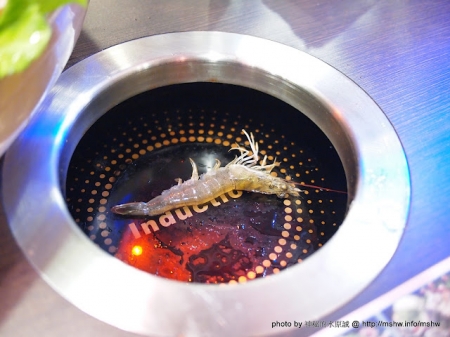 大甲鍋神庭園日式涮涮鍋：料好實在超滿足! ~ 台中〞大甲鍋神庭園日式涮涮鍋〞