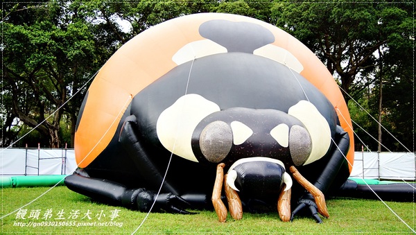 青年公園：【台北市／萬華】首創紙風車台灣昆蟲創意展～夢想大藍鯨