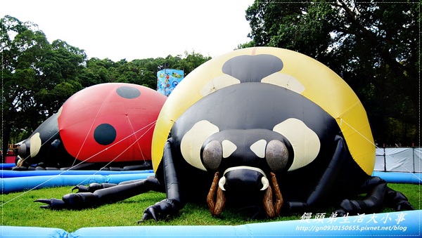 青年公園：【台北市／萬華】首創紙風車台灣昆蟲創意展～夢想大藍鯨