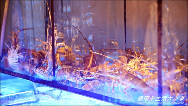 皇鼎潮汕砂鍋粥：【食記/新北市】美味私房道地推薦♪♪皇鼎潮汕砂鍋粥♪♪