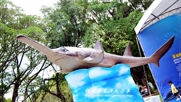 青年公園：【台北市／萬華】首創紙風車台灣昆蟲創意展～夢想大藍鯨