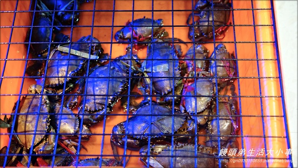 皇鼎潮汕砂鍋粥：【食記/新北市】美味私房道地推薦♪♪皇鼎潮汕砂鍋粥♪♪