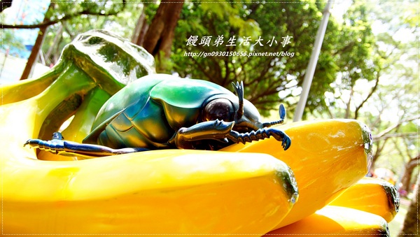 青年公園：【台北市／萬華】首創紙風車台灣昆蟲創意展～夢想大藍鯨