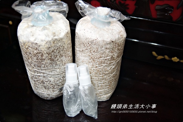 菇果 GUGO：【宅配】自給自足種出好香菇♪♪菇果 GUGO♪♪