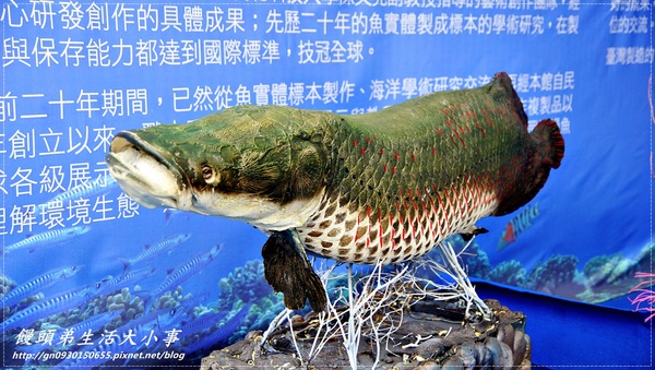 青年公園：【台北市／萬華】首創紙風車台灣昆蟲創意展～夢想大藍鯨