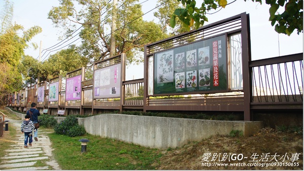 倒風內海故事館:【台南/麻豆】疑??房子是倒的可以住人嗎~倒風內海故事館