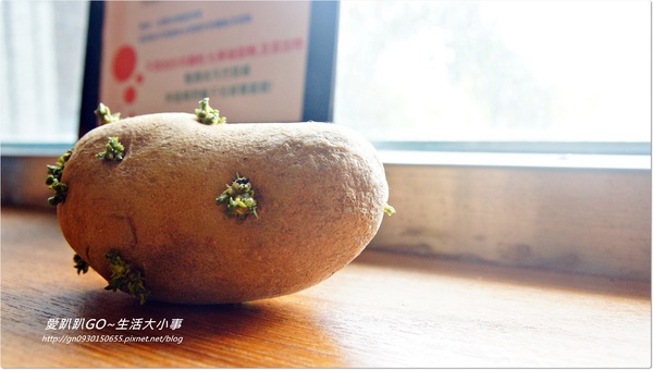 The V:F 舞蔬弄果:【食記/台北市】結合健康、環保、綠化的蔬果工廠~舞蔬弄果