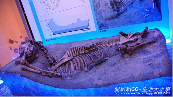 倒風內海故事館:【台南/麻豆】疑??房子是倒的可以住人嗎~倒風內海故事館