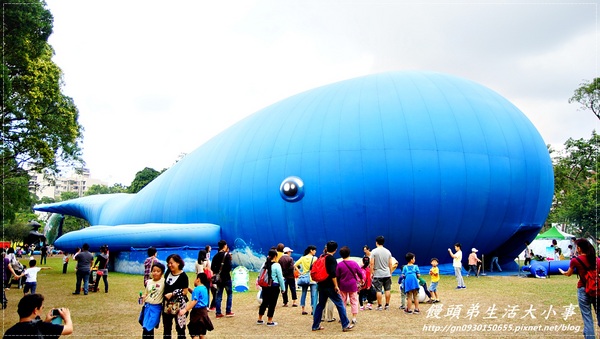 青年公園：【台北市／萬華】首創紙風車台灣昆蟲創意展～夢想大藍鯨