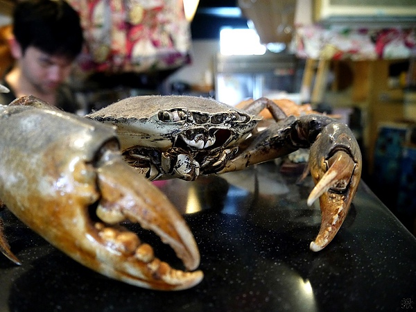 相片 13-9-6 下午11 37 24.jpg