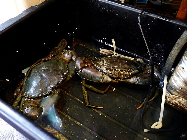 相片 13-9-6 下午11 38 10.jpg