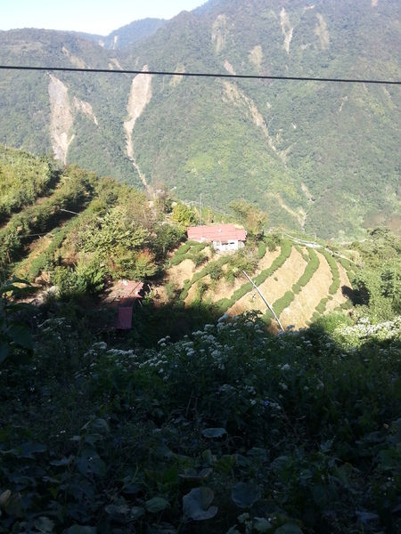 永賀會館：[南投][住宿]清境~永賀會館