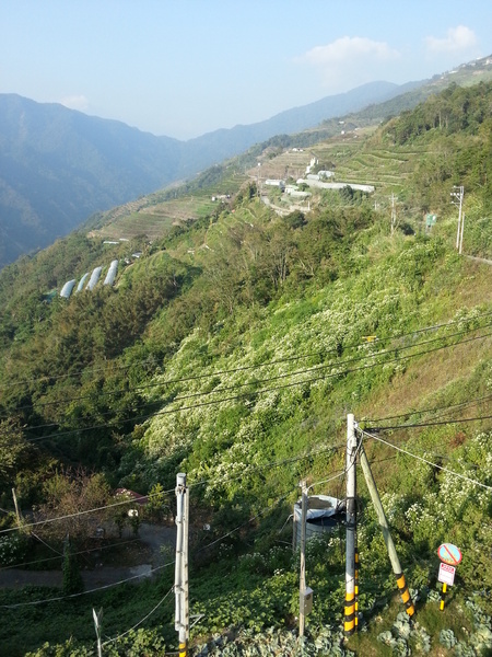永賀會館：[南投][住宿]清境~永賀會館