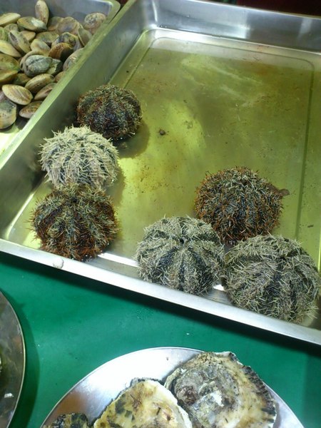 菊島之星：[澎湖][景點]2013老爹ㄟ澎湖三天兩夜自由行~菊島之星