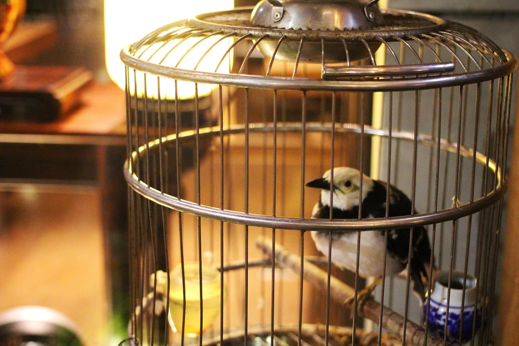 養心殿精緻鍋物 台北東區火鍋 餐廳 聚餐推薦 養心殿精緻鍋物菜單