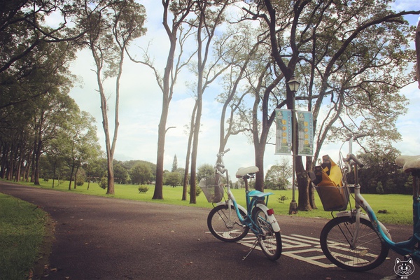 南投縣 魚池鄉 三育基督學院南投縣 魚池鄉 三育基督學院