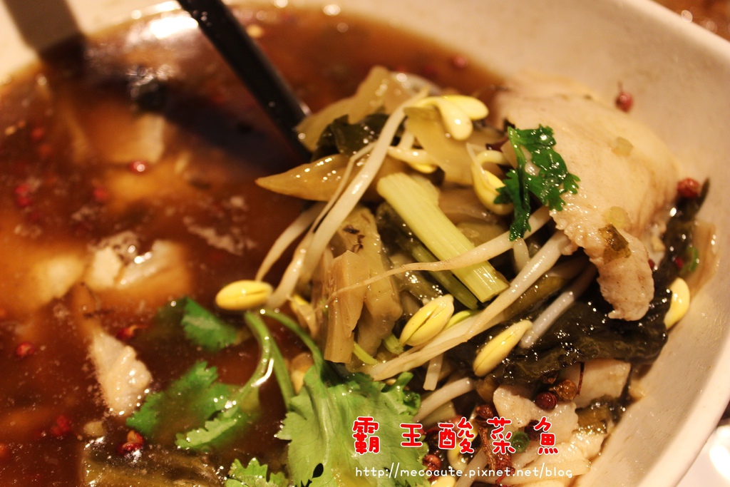 台北東區美食餐廳吃到飽 川.譜 渝派四川美饌 川譜吃到飽