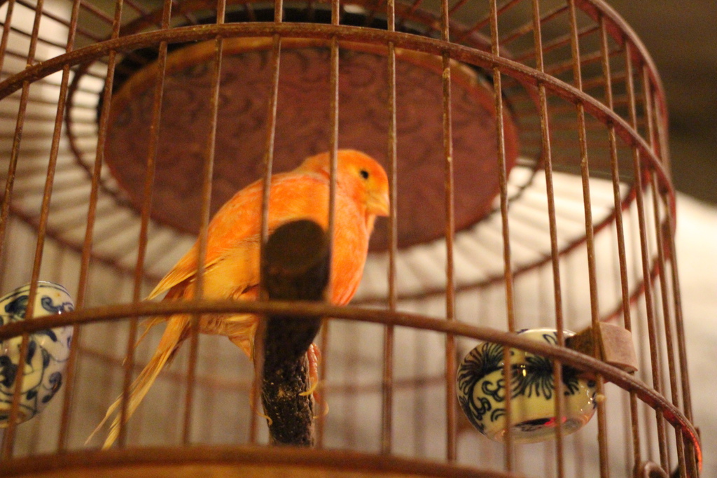 養心殿精緻鍋物 台北東區火鍋 餐廳 聚餐推薦 養心殿精緻鍋物菜單