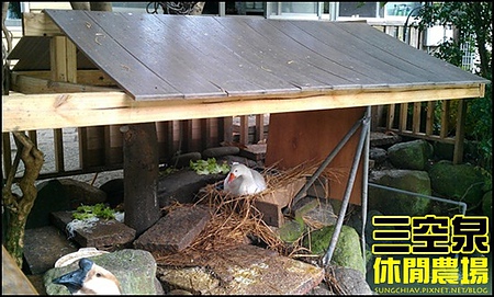 三空泉休閒農場：[新北淡水] 田野間的秘密美食花園~三空泉休閒農場