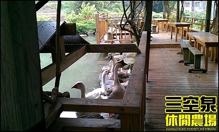 三空泉休閒農場：[新北淡水] 田野間的秘密美食花園~三空泉休閒農場