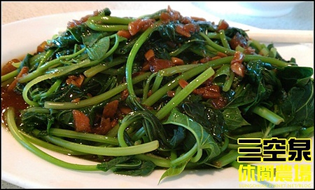 三空泉休閒農場：[新北淡水] 田野間的秘密美食花園~三空泉休閒農場