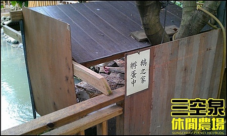 三空泉休閒農場：[新北淡水] 田野間的秘密美食花園~三空泉休閒農場