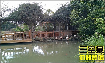 三空泉休閒農場：[新北淡水] 田野間的秘密美食花園~三空泉休閒農場