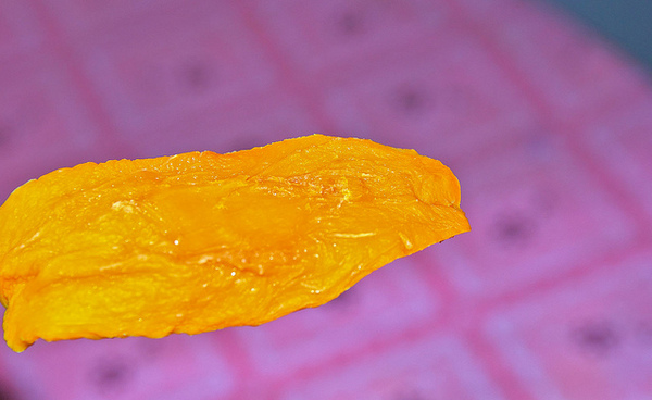 芒果樣：[口碑⑯]【屏東枋山鄉】芒果樣。自然熟成水果乾品嚐