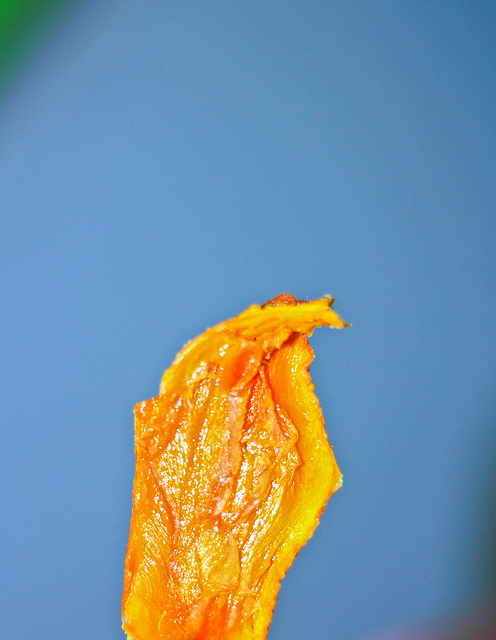 芒果樣：[口碑⑯]【屏東枋山鄉】芒果樣。自然熟成水果乾品嚐