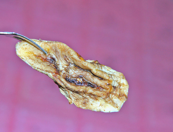 芒果樣：[口碑⑯]【屏東枋山鄉】芒果樣。自然熟成水果乾品嚐