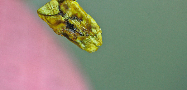 芒果樣：[口碑⑯]【屏東枋山鄉】芒果樣。自然熟成水果乾品嚐