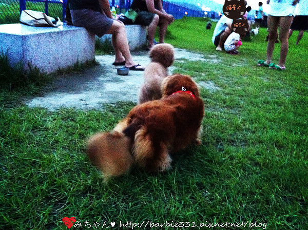 1370535798-4025939068_