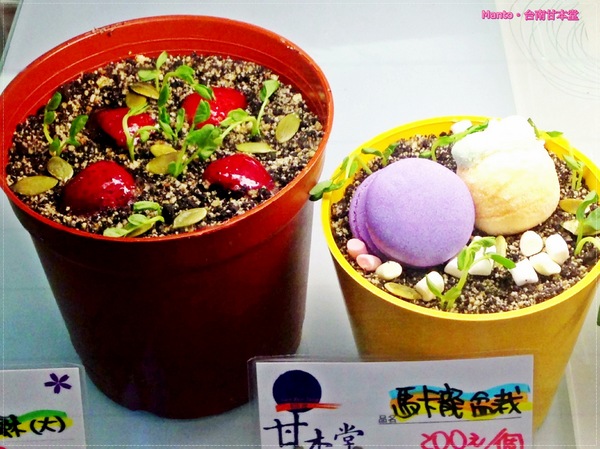 甘本堂蛋糕烘焙坊:【台南。甘本堂】來去蛋糕店買盆栽。盆栽提拉米蘇