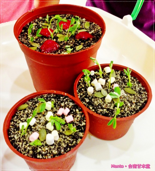 甘本堂蛋糕烘焙坊:【台南。甘本堂】來去蛋糕店買盆栽。盆栽提拉米蘇