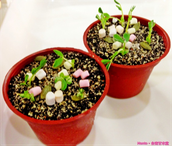 甘本堂蛋糕烘焙坊:【台南。甘本堂】來去蛋糕店買盆栽。盆栽提拉米蘇