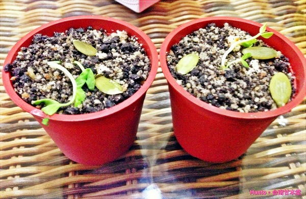 甘本堂蛋糕烘焙坊:【台南。甘本堂】來去蛋糕店買盆栽。盆栽提拉米蘇