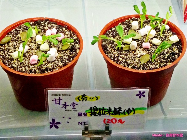 甘本堂蛋糕烘焙坊:【台南。甘本堂】來去蛋糕店買盆栽。盆栽提拉米蘇