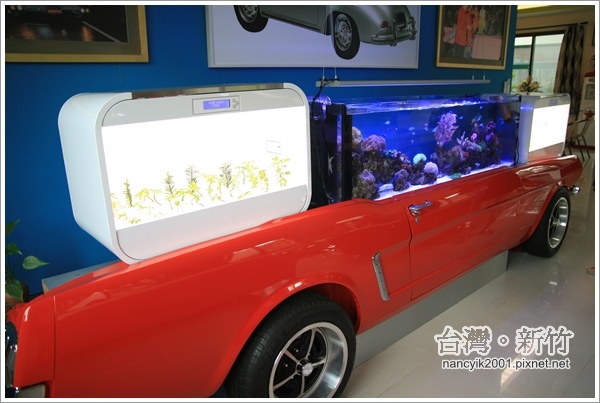 Lo Sir復古車莊園:來個不一樣的下午茶吧!【Lo Sir復古車莊園】