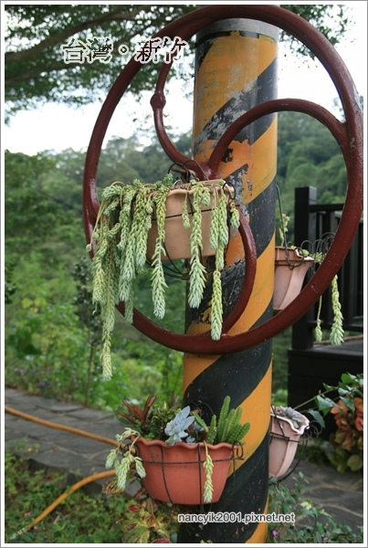 Lo Sir復古車莊園:來個不一樣的下午茶吧!【Lo Sir復古車莊園】