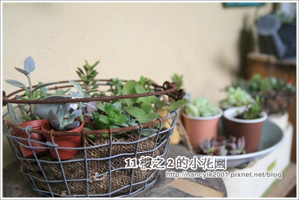 11樓之2的小花園:※新竹。鄉村風手作雜貨咖啡屋【11樓之2的小花園】