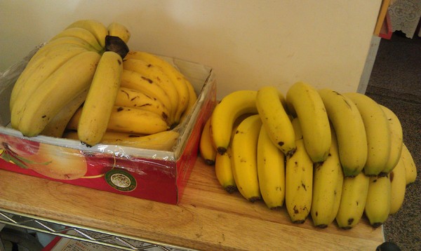 2in1冰淇淋專賣店：2 in 1冰淇淋專賣店~沒良心的我愛上了有良心的店