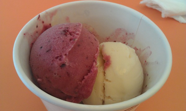 2in1冰淇淋專賣店：2 in 1冰淇淋專賣店~沒良心的我愛上了有良心的店