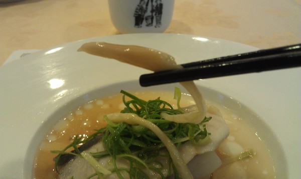 金都餐廳：金都餐廳~味覺與文化的雙重饗宴