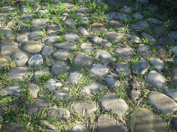 cm20131019___2cd069651e0d588176f45941a9e