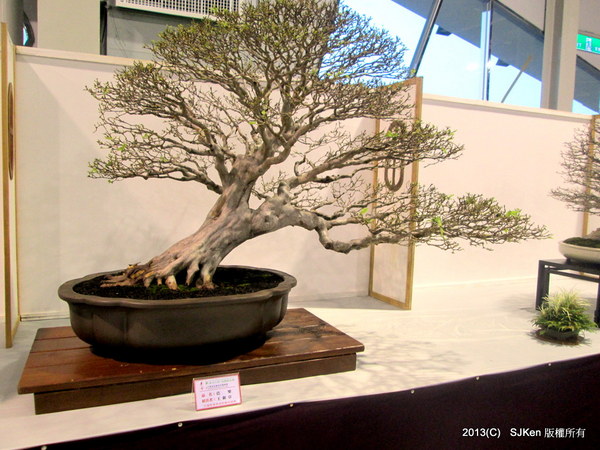 cm20131018___f6e8b0b88a30b81b1089ea13d24