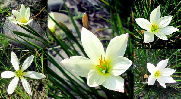 cm20131019___7f0375284051add927c62235c10