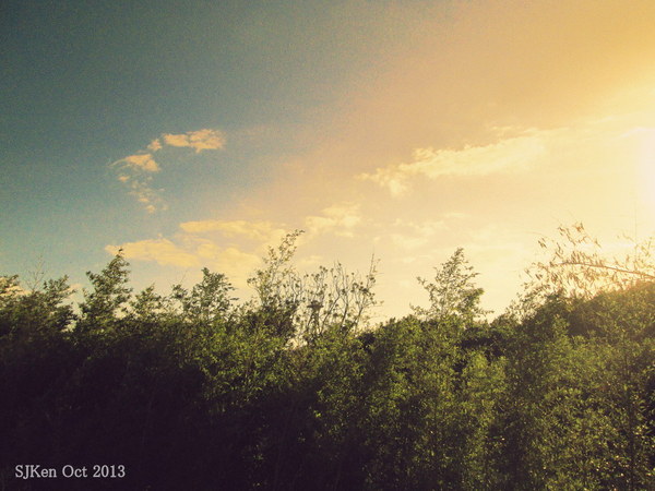 cm20131019___6f95ada79eea4043faa543275c3